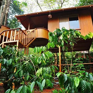 Planet Plantation Resorts, Wayanad, Kerala 3* Kalpetta